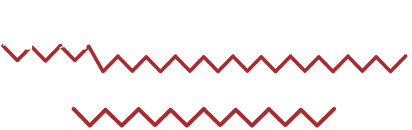 結果が出ない...には理由があった !?